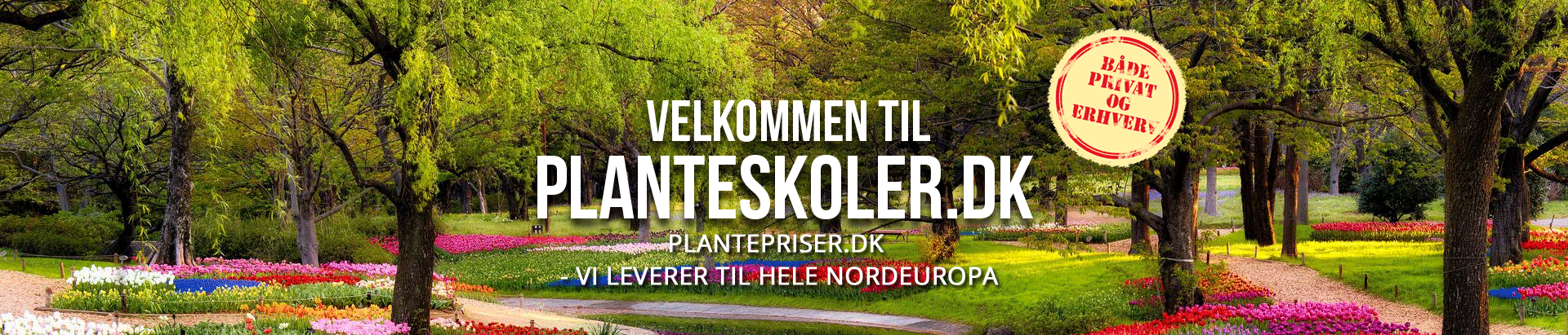 Velkommen / Welcome