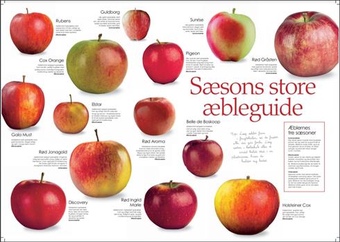 se_her_hvornÅr_Æblerne_normalt_er_modne_