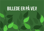 Stauder. Blandet staudekasser med 24 stk. assorteret, med mindst 6 sorter..